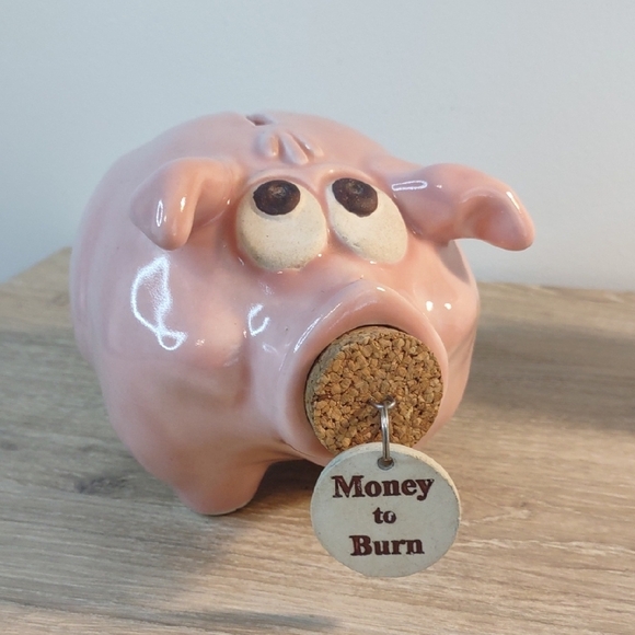 Money To Burn Anthropomorphic Pink Piggy Bank - Picture 1 of 9